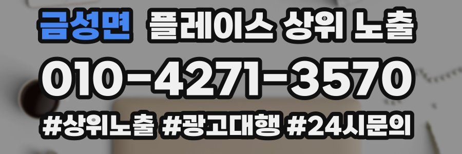 금성면 플레이스 상위 노출