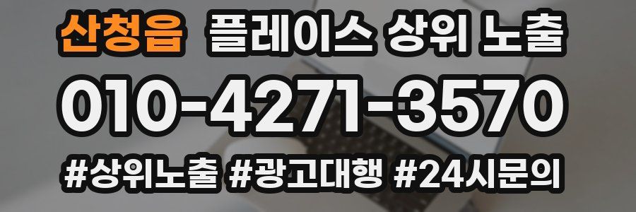 산청읍 플레이스 상위 노출