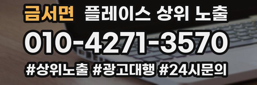 금서면 플레이스 상위 노출
