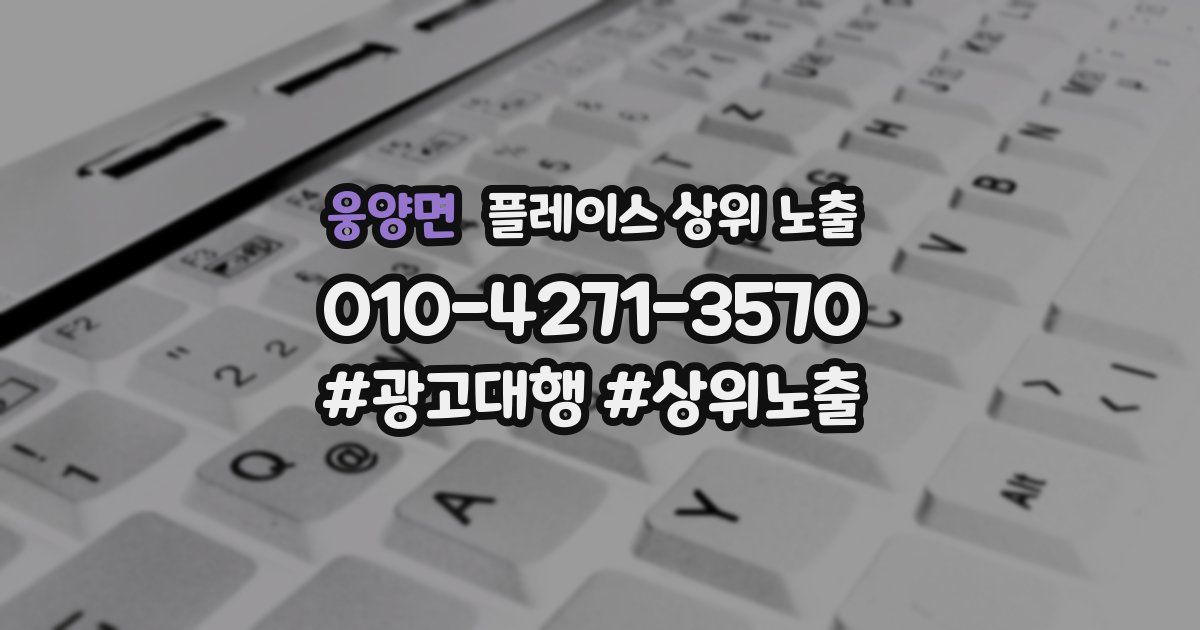 웅양면 플레이스 상위 노출