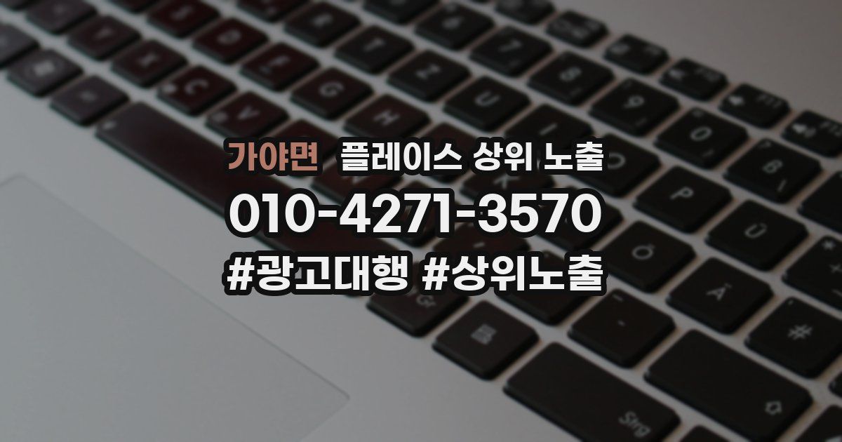 가야면 플레이스 상위 노출