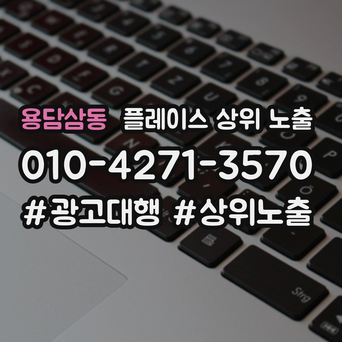 용담삼동 플레이스 상위 노출 시즌별 키워드로 반응을 올리는 방법