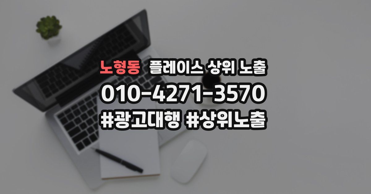 노형동 플레이스 상위 노출
