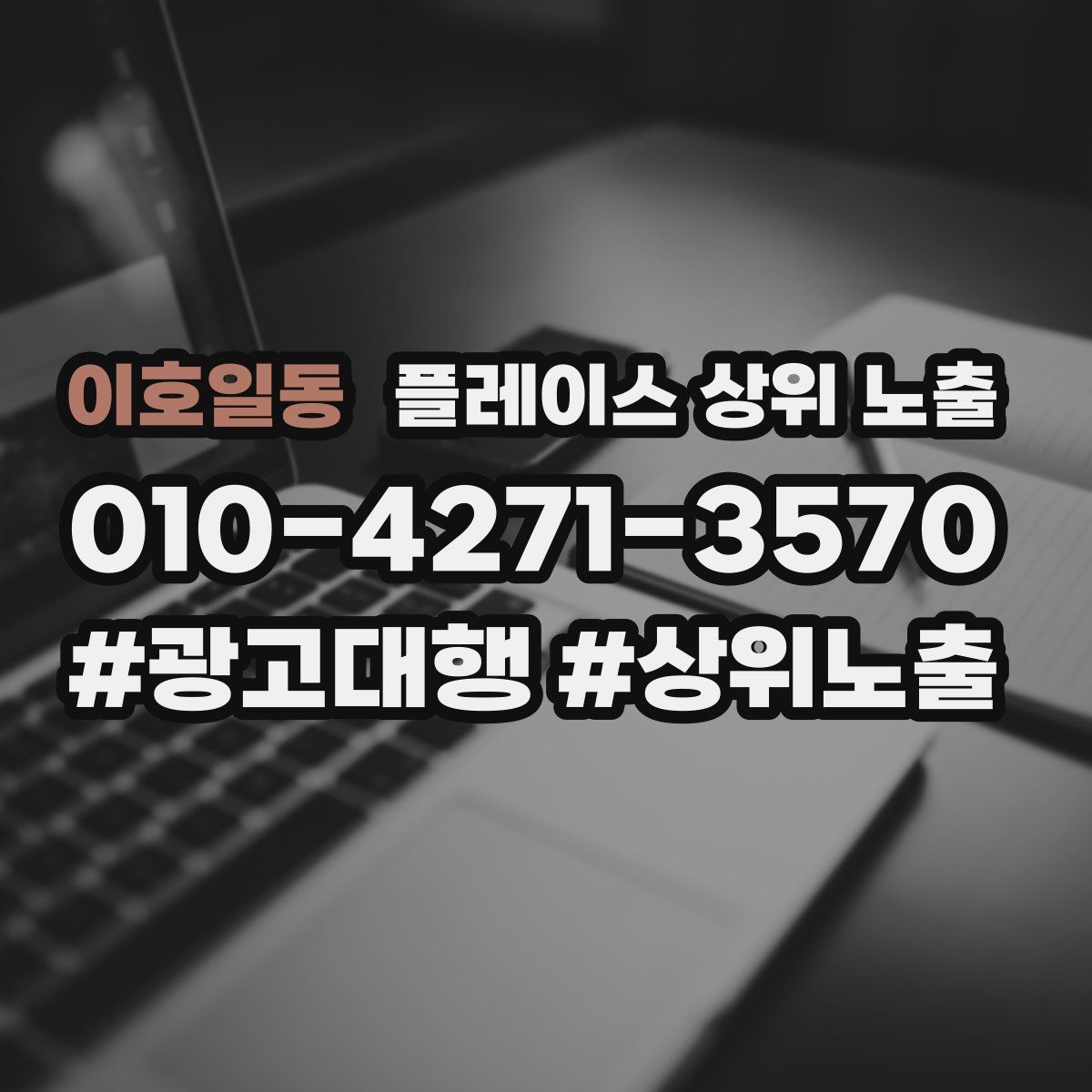 이호일동 플레이스 상위 노출