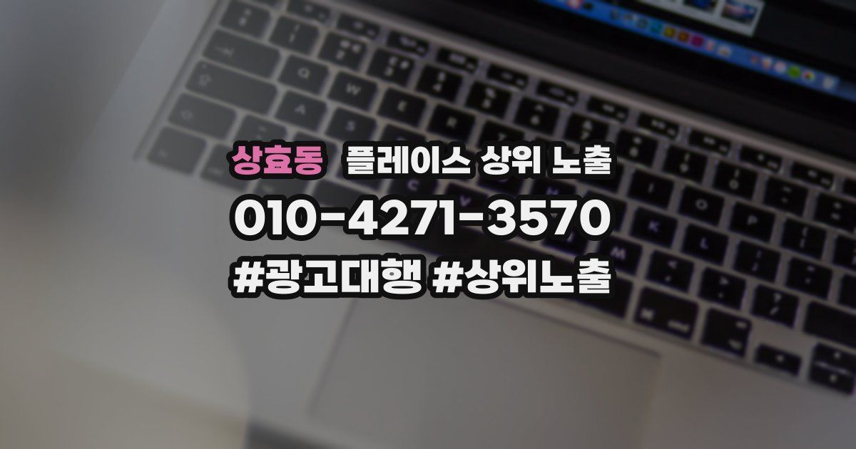 상효동 플레이스 상위 노출