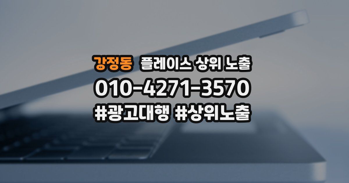 강정동 플레이스 상위 노출