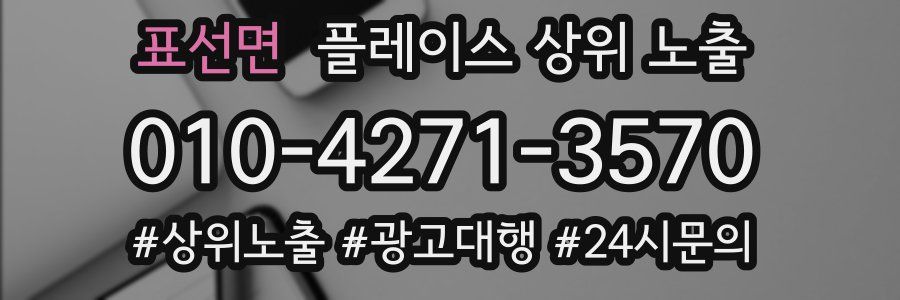 표선면 플레이스 상위 노출