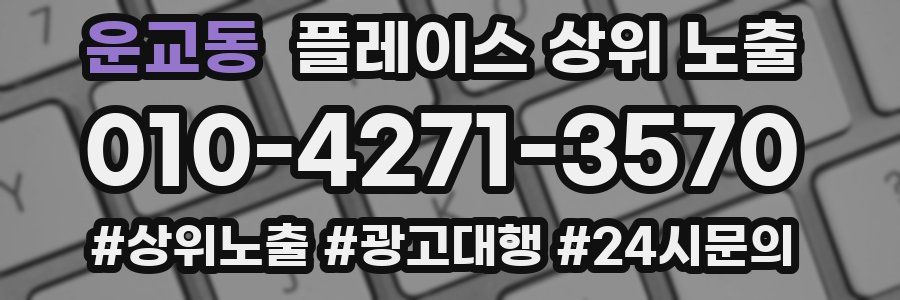 운교동 플레이스 상위 노출
