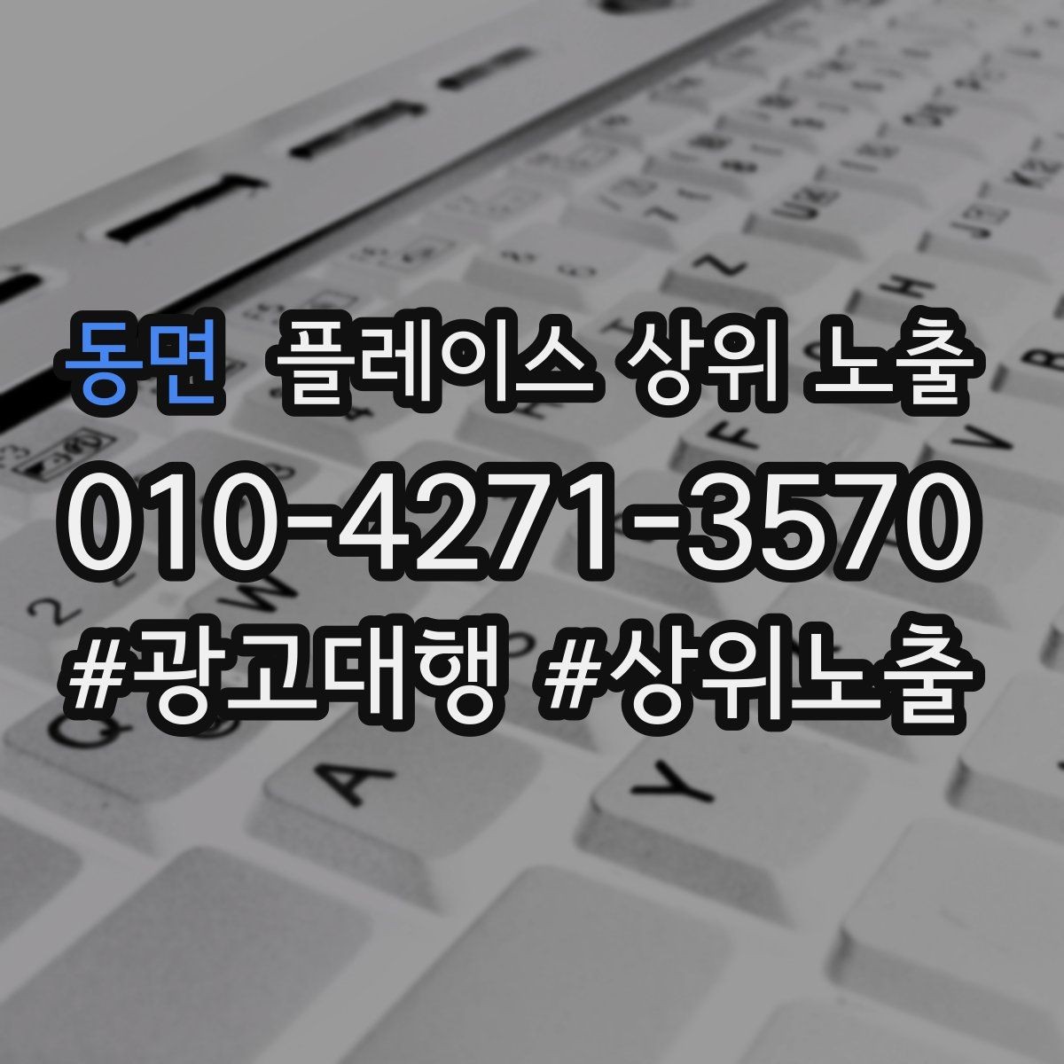 동면 플레이스 상위 노출 입구 주차 사진이 순위에 도움이 되는 이유