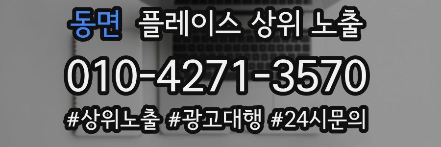 동면 플레이스 상위 노출