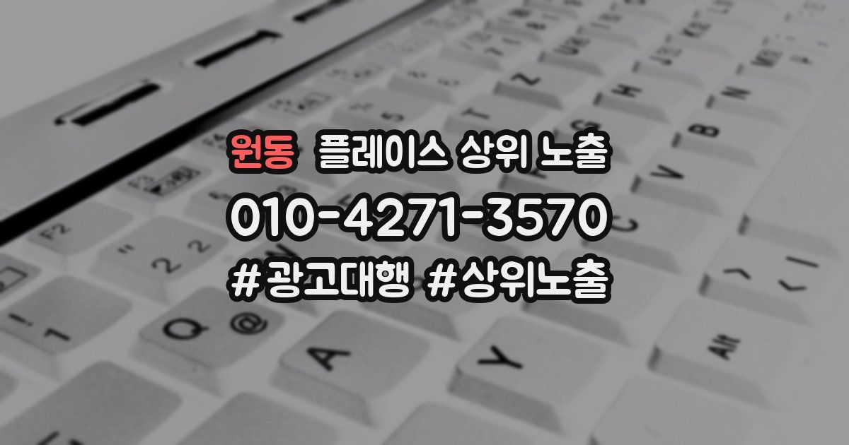 원동 플레이스 상위 노출