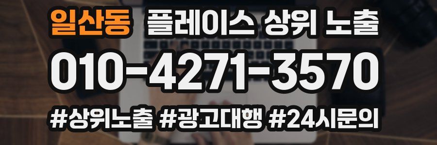일산동 플레이스 상위 노출