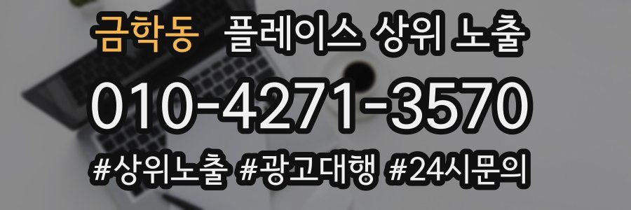 금학동 플레이스 상위 노출