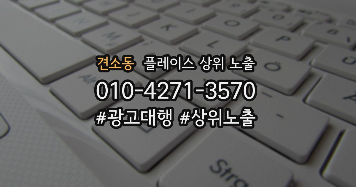견소동 플레이스 상위 노출