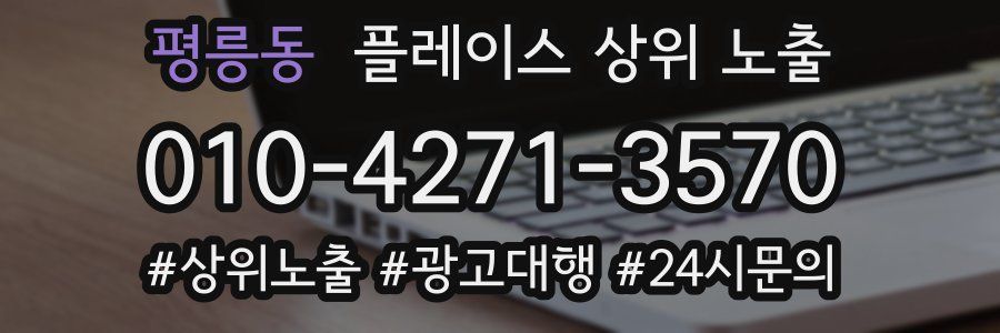 평릉동 플레이스 상위 노출