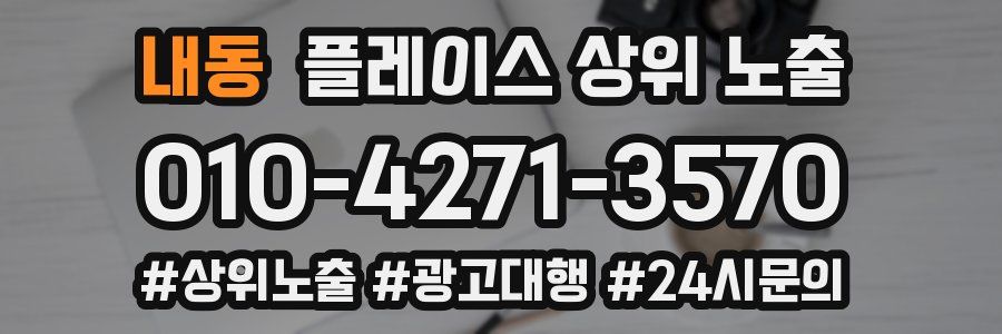 내동 플레이스 상위 노출