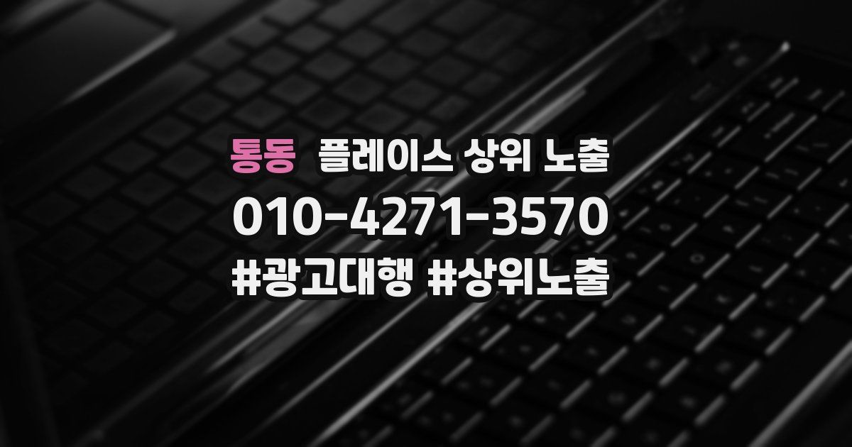 통동 플레이스 상위 노출
