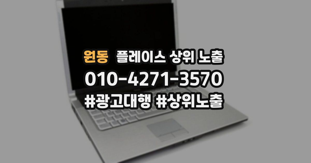 원동 플레이스 상위 노출