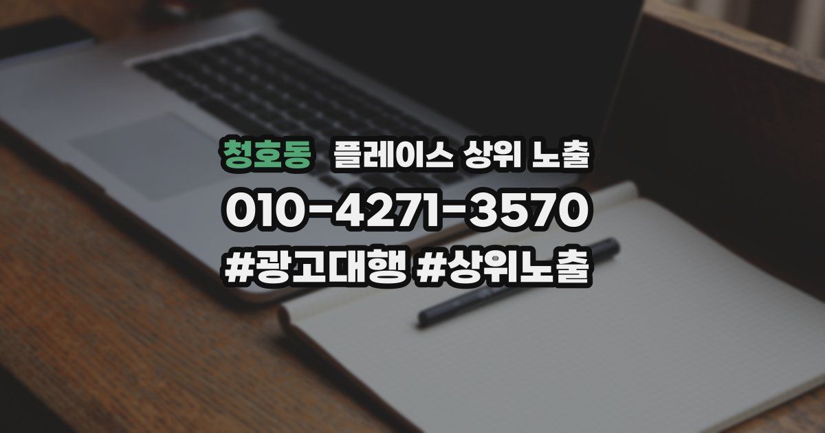 청호동 플레이스 상위 노출
