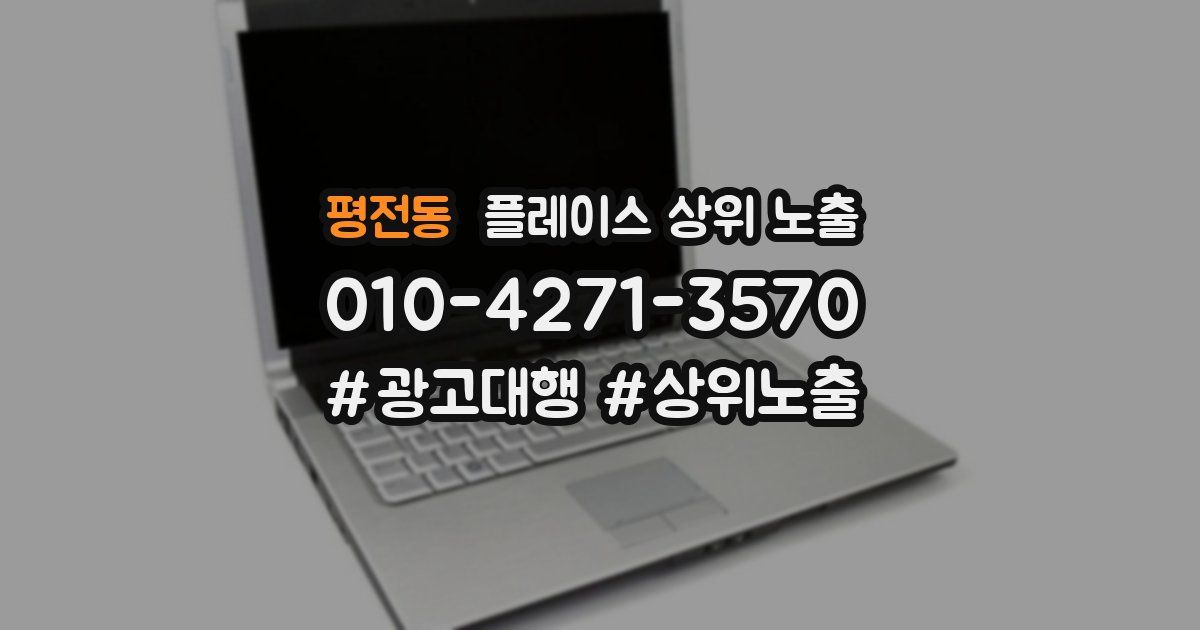 평전동 플레이스 상위 노출