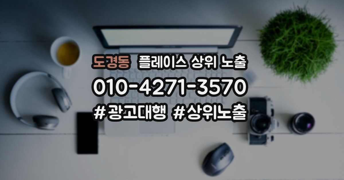 도경동 플레이스 상위 노출