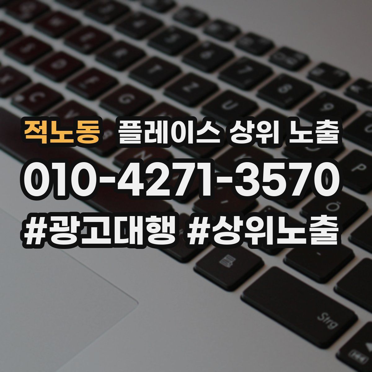 적노동 플레이스 상위 노출