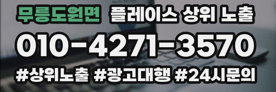무릉도원면 플레이스 상위 노출