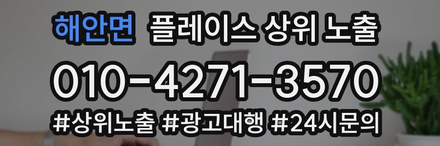 해안면 플레이스 상위 노출