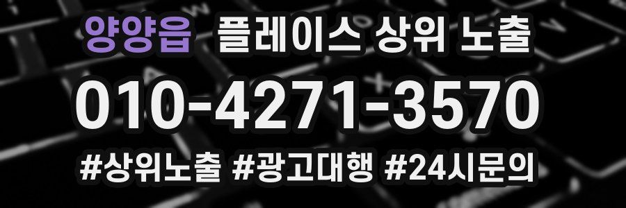 양양읍 플레이스 상위 노출