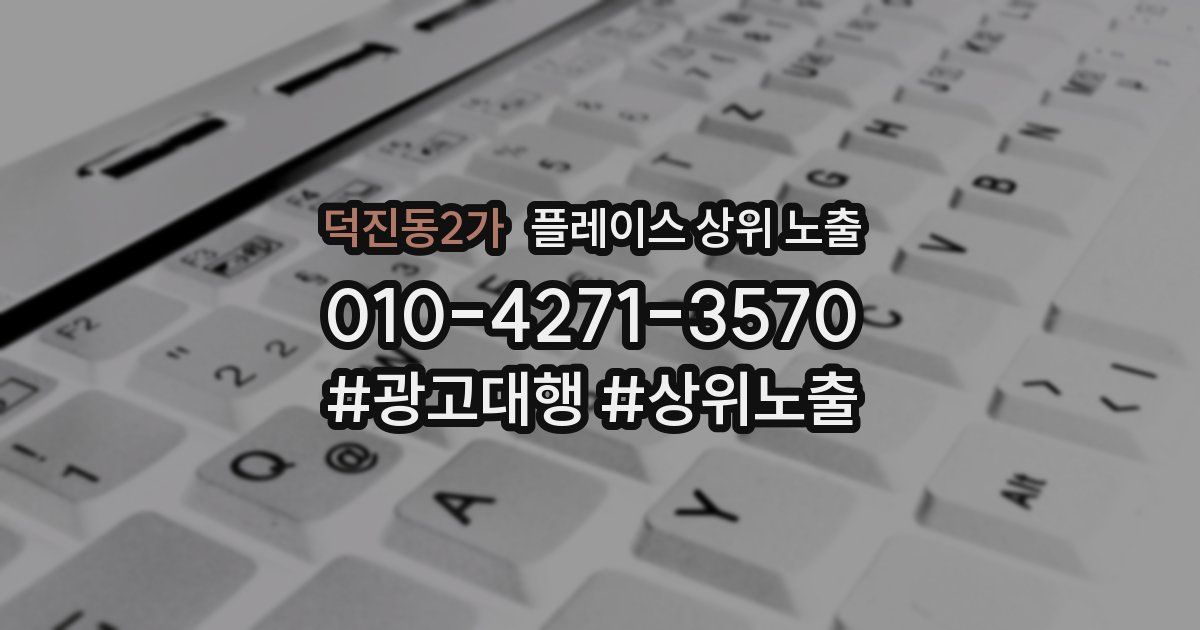 덕진동2가 플레이스 상위 노출