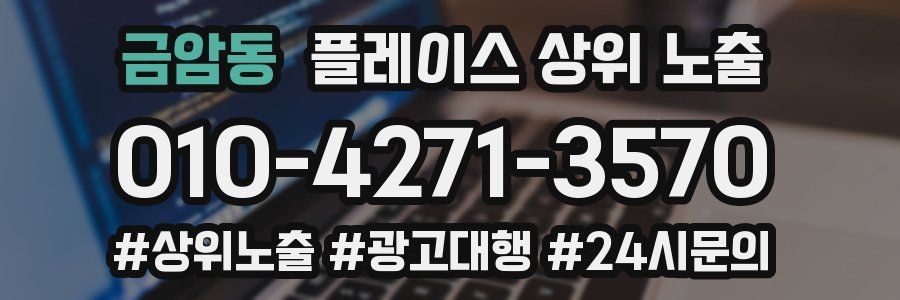 금암동 플레이스 상위 노출