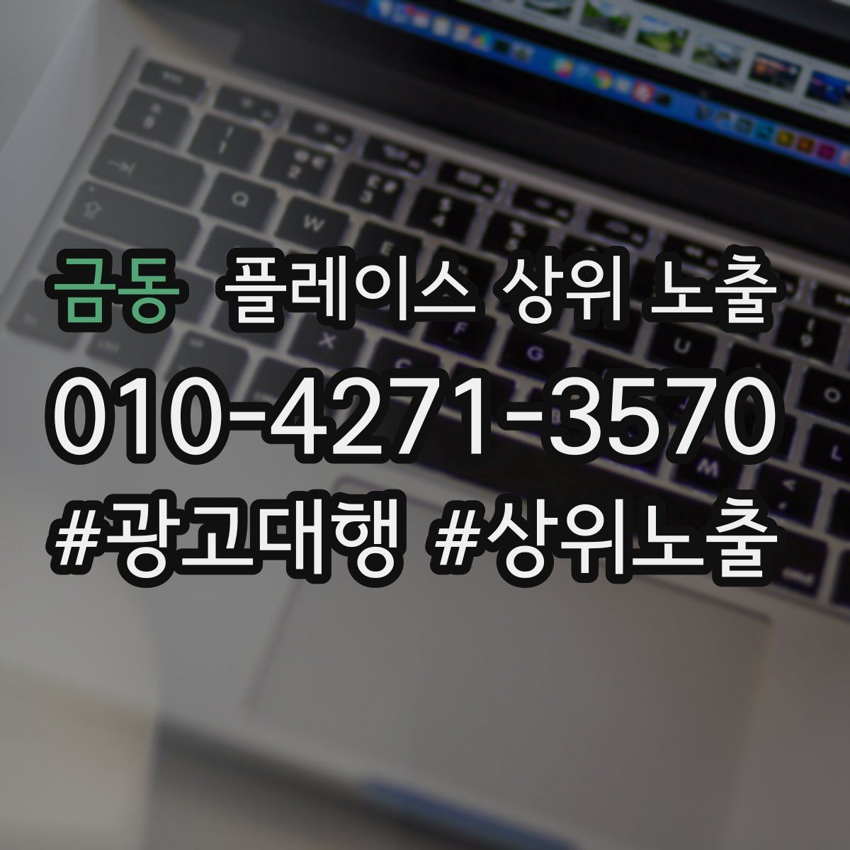 금동 플레이스 상위 노출