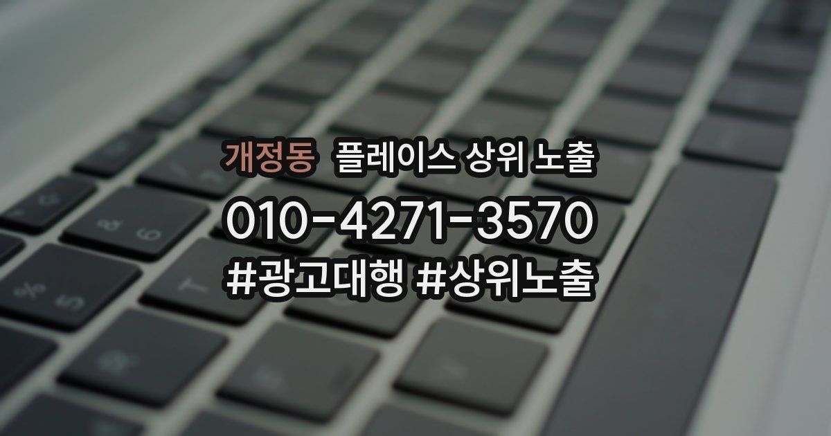 개정동 플레이스 상위 노출