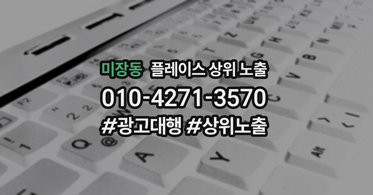 미장동 플레이스 상위 노출