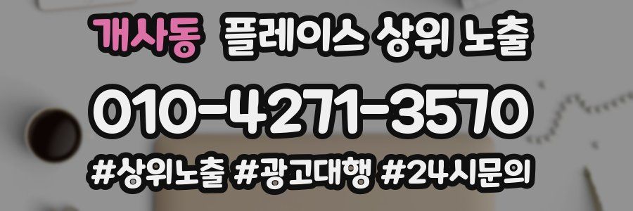 개사동 플레이스 상위 노출