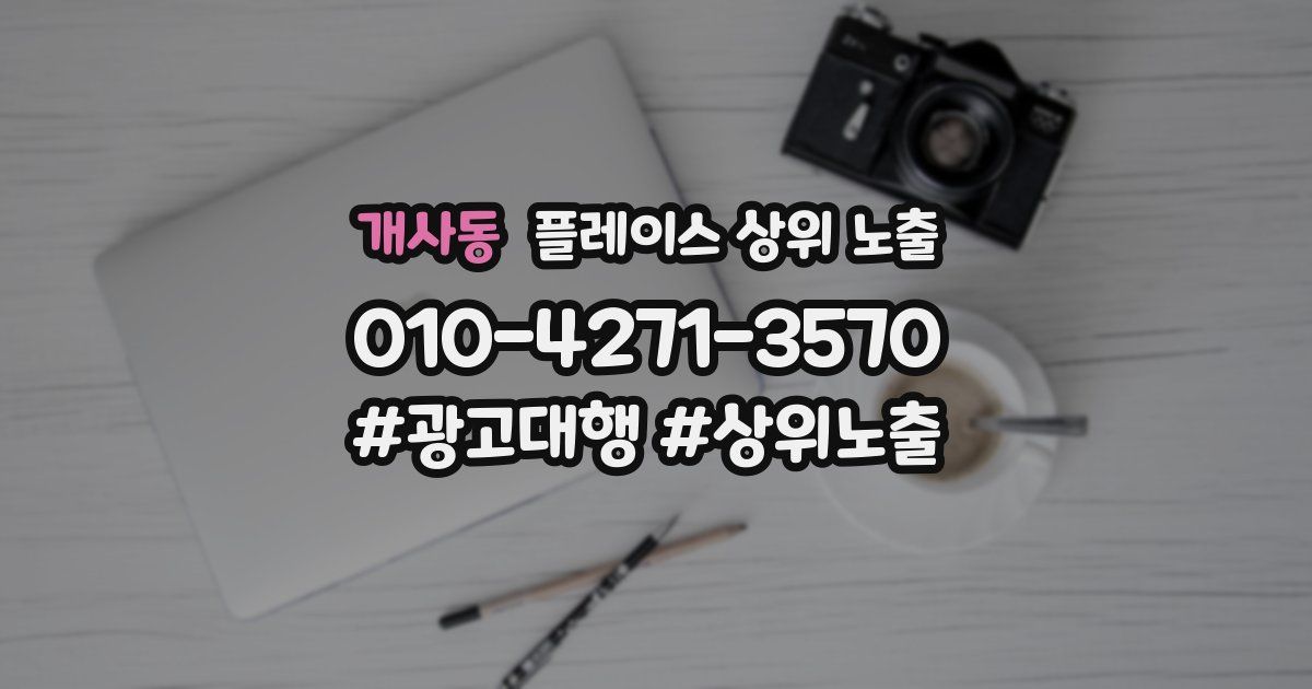 개사동 플레이스 상위 노출