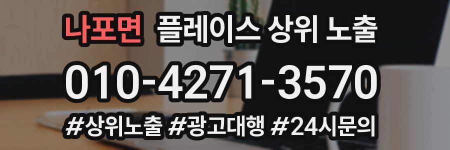 나포면 플레이스 상위 노출