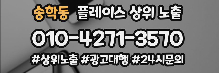 송학동 플레이스 상위 노출