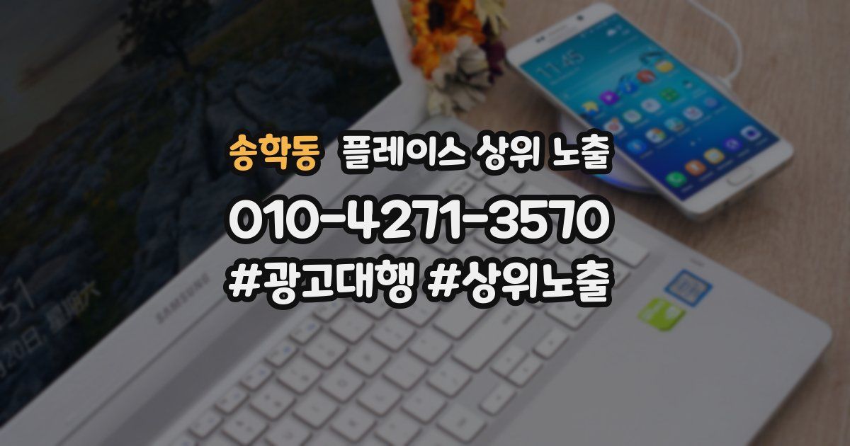 송학동 플레이스 상위 노출
