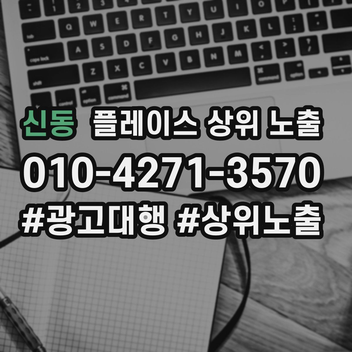 신동 플레이스 상위 노출 주소 지도 핀 오류로 순위가 흔들리는 이유
