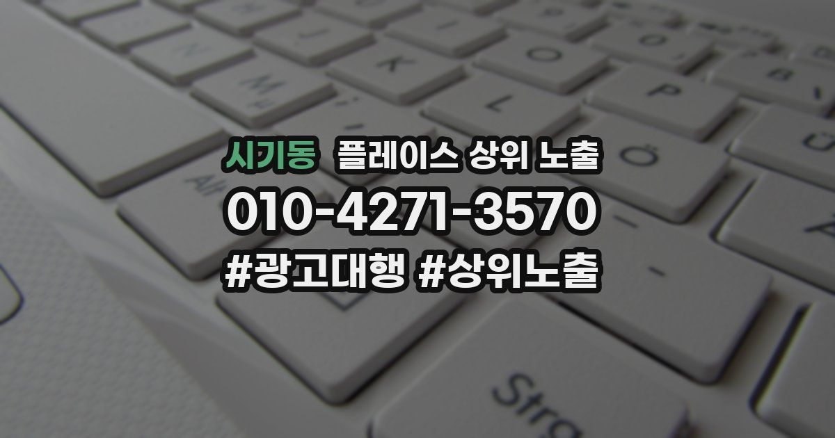 시기동 플레이스 상위 노출