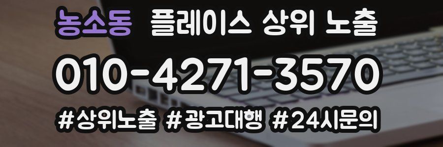 농소동 플레이스 상위 노출