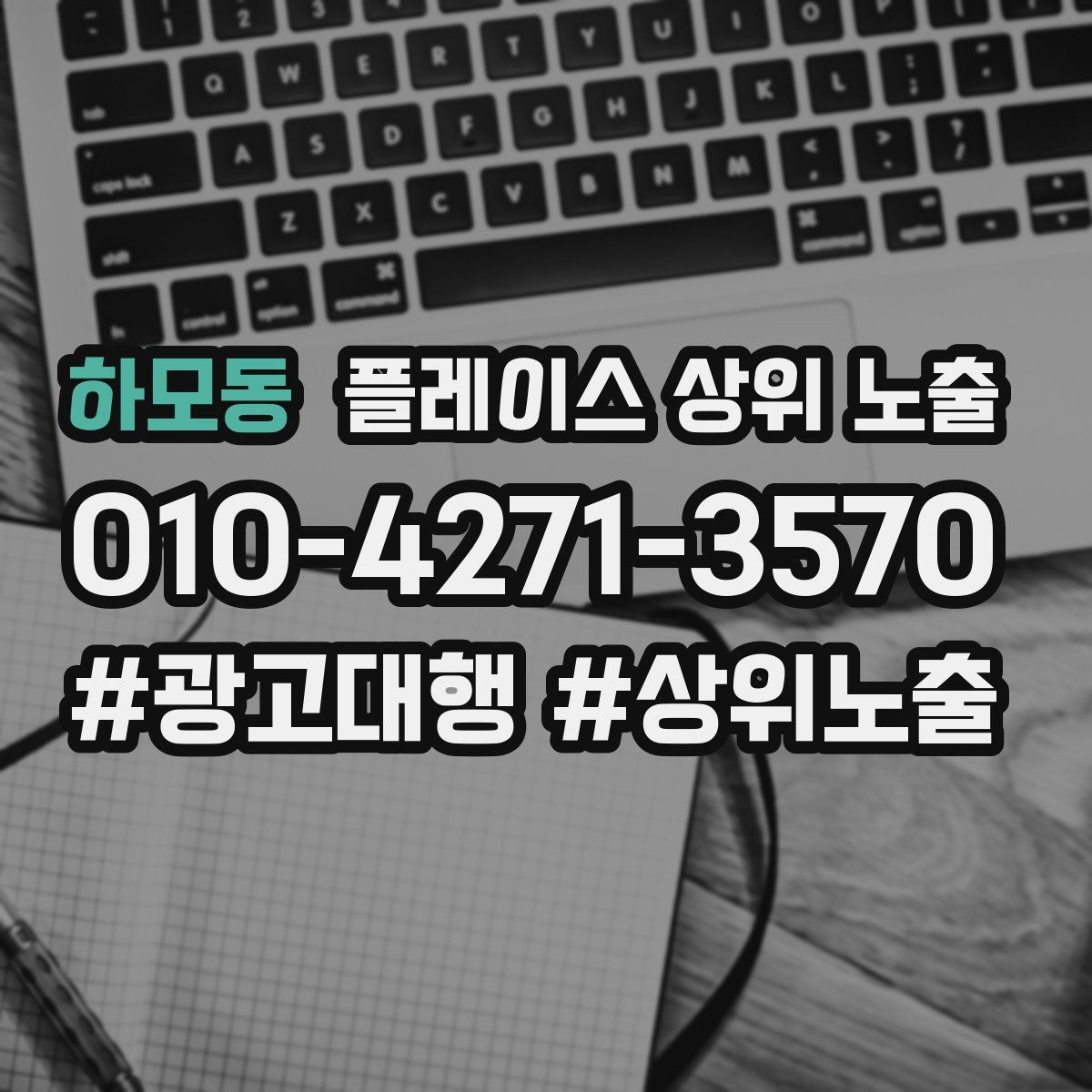 하모동 플레이스 상위 노출 시즌별 키워드로 반응을 올리는 방법
