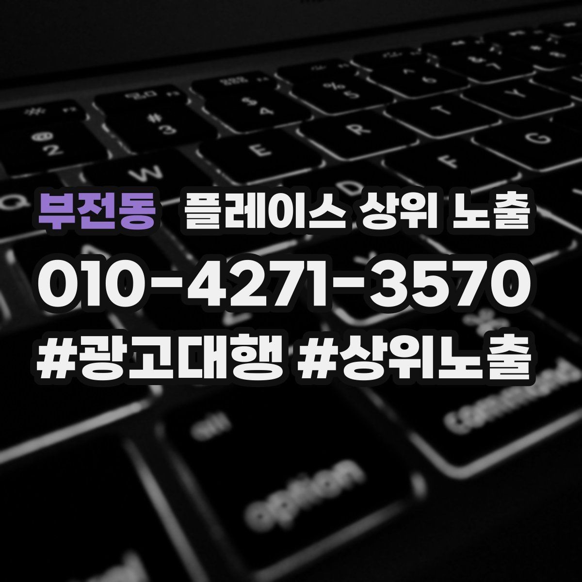 부전동 플레이스 상위 노출 테스트확대 순서로 안정적으로 키우기