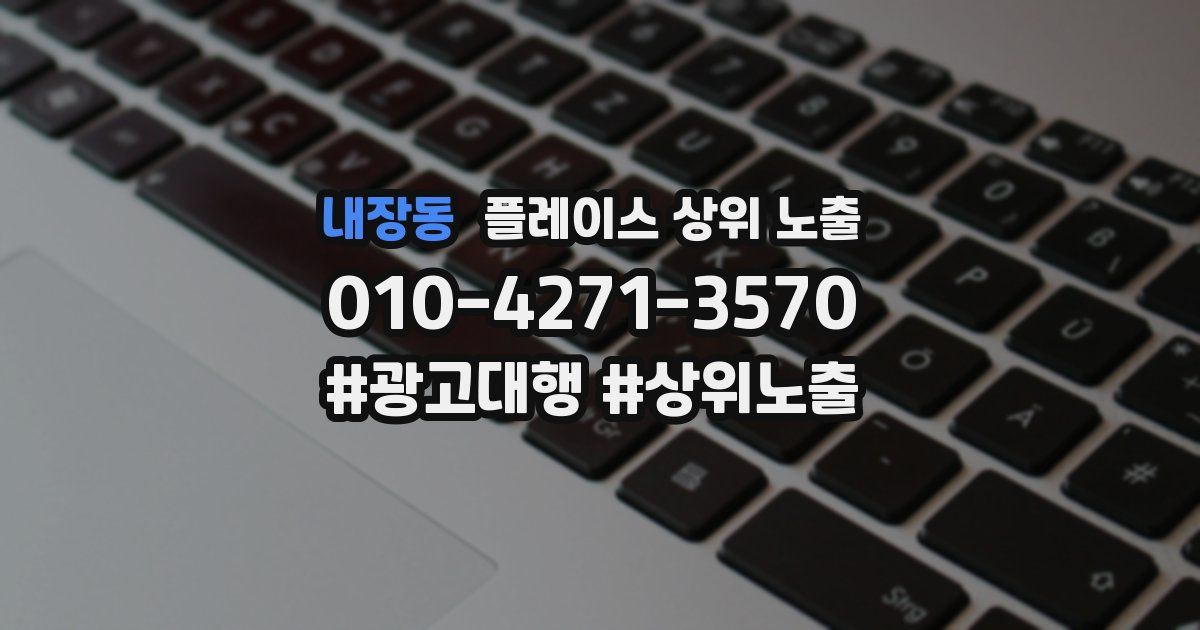 내장동 플레이스 상위 노출