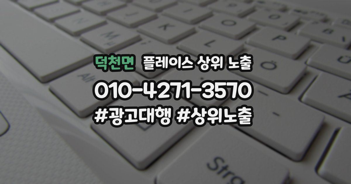 덕천면 플레이스 상위 노출