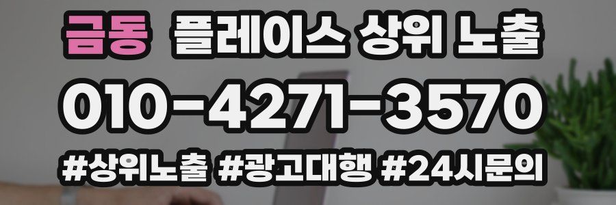 금동 플레이스 상위 노출