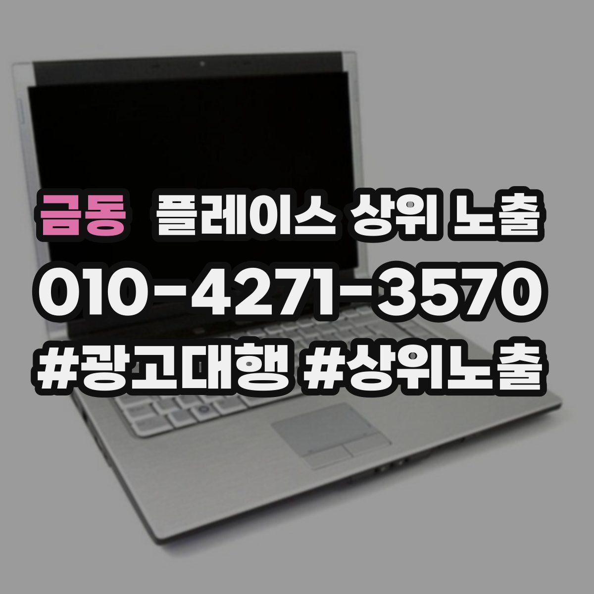 금동 플레이스 상위 노출