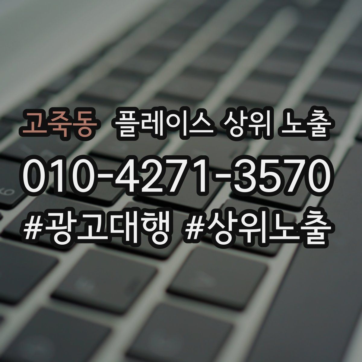 고죽동 플레이스 상위 노출