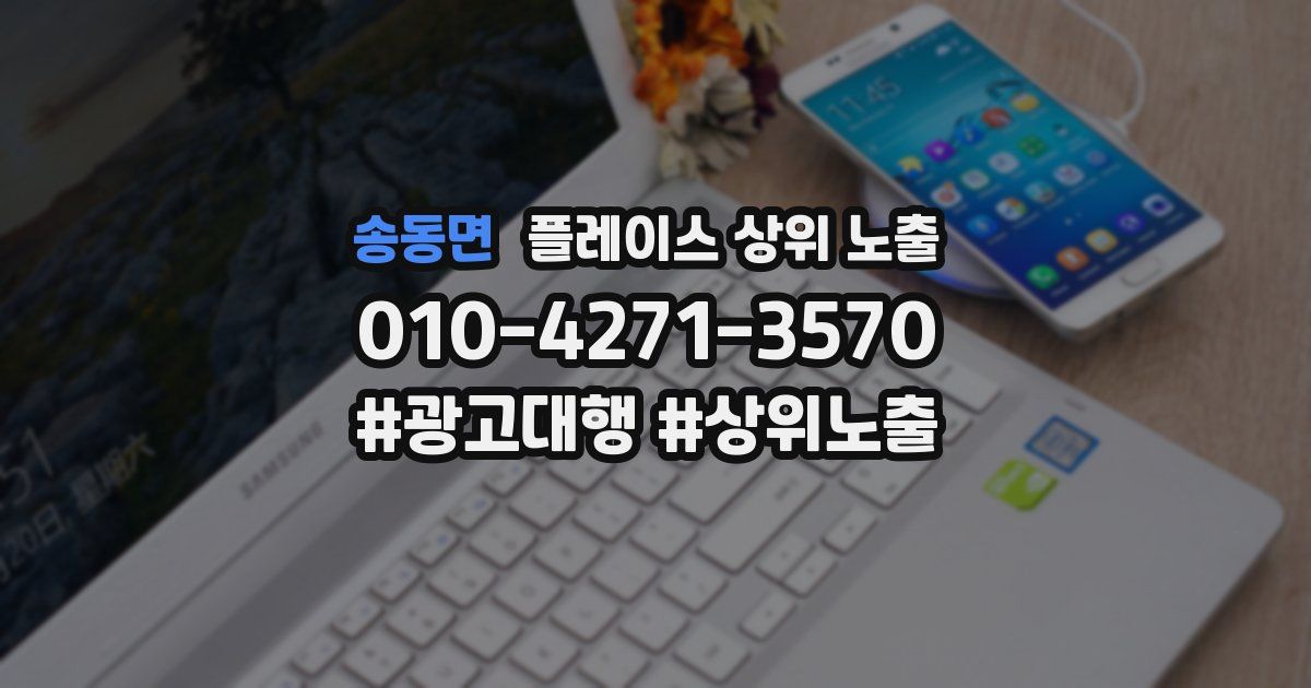 송동면 플레이스 상위 노출